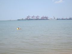 -西秀海滩公园