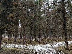 -硗碛藏寨·神木垒景区