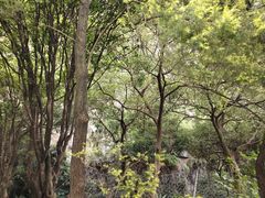 -南溪山景区