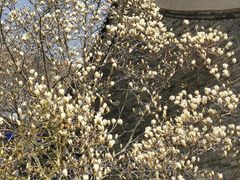 -天津盘山风景名胜区