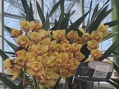 -石家庄市植物园