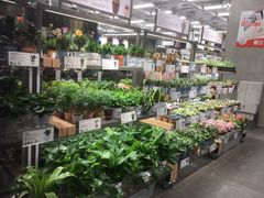 -鹿岛会员店(熙地港店)