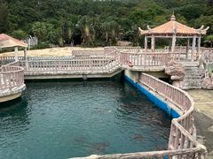 -广东惠东海龟国家级自然保护区