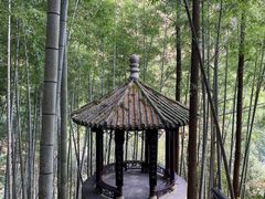 -丹山赤水风景名胜区