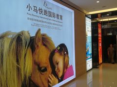 -棕榈MALL