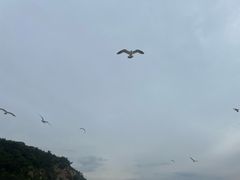 -棒棰岛宾馆景区