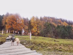 -硗碛藏寨·神木垒景区