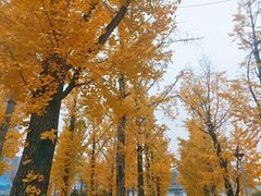 -两江幸福广场