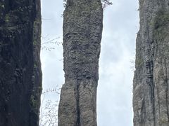 -梭布垭石林景区