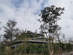 -香山湖公园