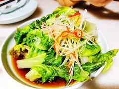 白灼罗马生菜-小吊梨汤·北京菜·烤鸭(双井乐成中心店)