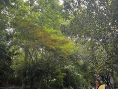 -杭州少年儿童公园