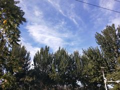 -东北大学(秦皇岛分校)