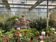 -南宫五洲植物乐园