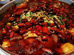 -佳兰雅序融合菜(高新店)