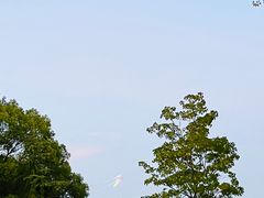 -大蜀山国家森林公园
