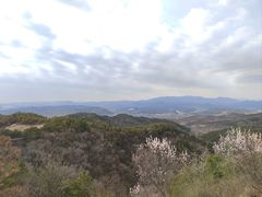 -磬锤峰森林公园