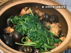 青菜-食爺炭炉鸡煲·烧烤