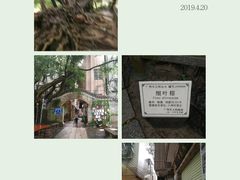 -小洲村