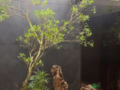 -浩运·海鲜青岛菜·海胆水饺(石老人店)