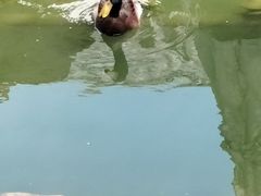 -三里河公园