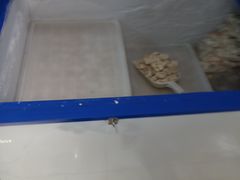-宋家馄饨馆(八一公园店)