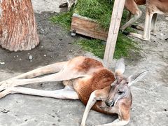 -水上乐园·欢乐世界