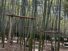 -陶祖圣境风景区