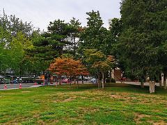 -北京化工大学(东校区)