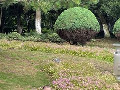 -白塘生态植物园