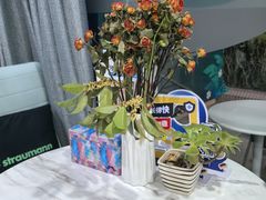 -维乐口腔(格林门诊长宁店)