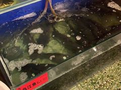 -粗粮人家(簋街店)