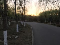-东郊湿地公园