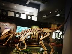 -自贡恐龙博物馆