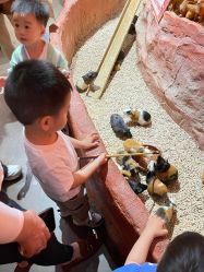 -Zoolung Zoolung动物主题公园(海信广场店)