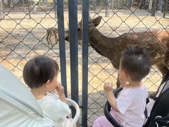 -长白岛森林公园