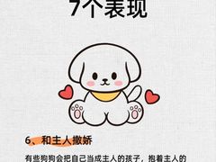 -派联宠物医院·24h·CT·异宠