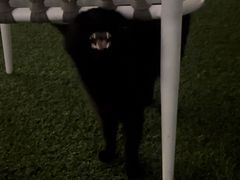 -UNIUNI(凯瑟琳广场店)