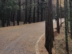 -山王坪喀斯特国家生态公园