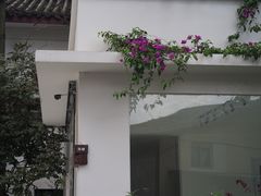 -三圣花乡旅游区