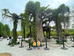 -石家庄市植物园
