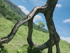 -硗碛藏寨·神木垒景区