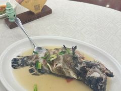 -楼外楼(西湖景区孤山路店)