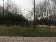-唐城墙遗址公园