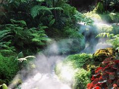 -Chom Cafe and Restaurant