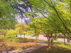 -西北农林科技大学(北校区)