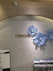 -素美医疗美容·西南眼鼻整形·修复基地