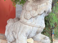 -真庆观
