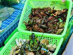 -富临港·蒸汽海鲜·手抓海鲜·炒菜(栈桥店)