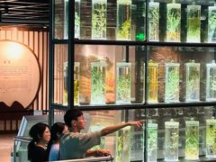 -广东中医药博物馆